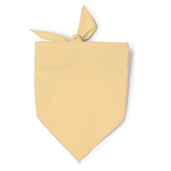 Jarana - Pañoleta de forma triangular en combinación de algodón y poliéster - Beige