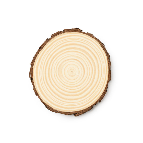 Pinea - Fantástico set de 4 posavasos realizados en madera de pino natural - Crudo